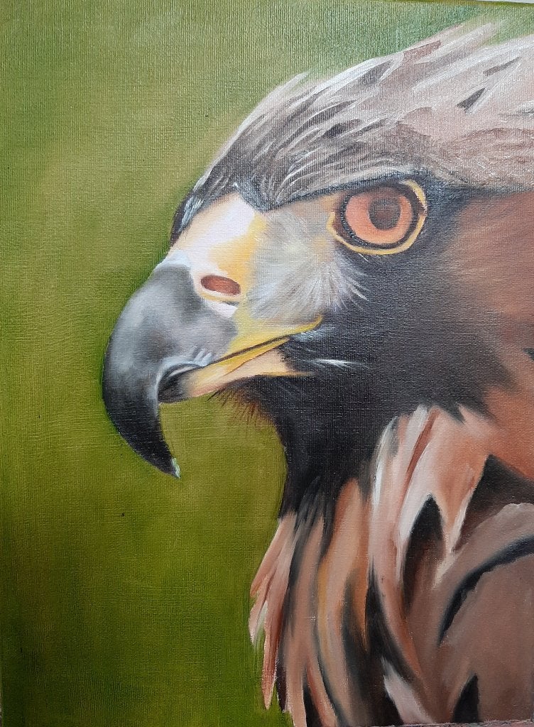 Schilderij van een roofvogel, Minder dan 50 cm, Oorspronkelijke maker, Nieuw, Ophalen of Verzenden