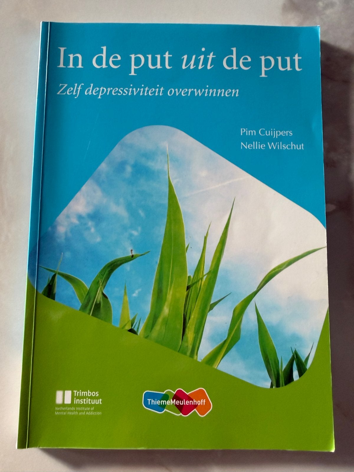 In de put uit de put: Zelf depressiviteit overwinnen, Ophalen of Verzenden, Gelezen