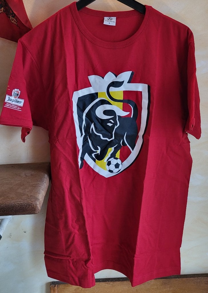 JUPILER FIFA 2010 T-shirt maat L *** NIEUW ***, Ophalen of Verzenden, Nieuw, Kleding, Jupiler