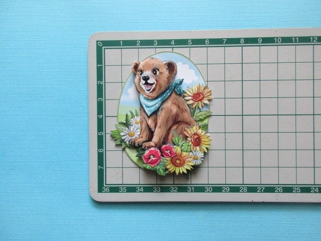 y00131 Beer, Verzenden, Nieuw, Dieren, Overige typen