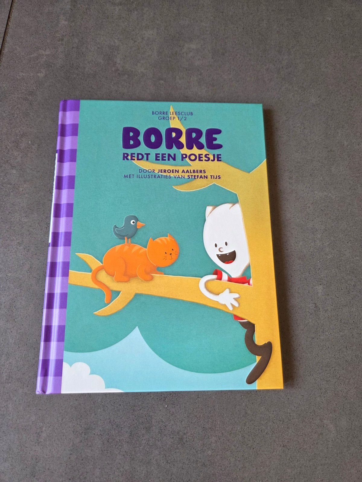 borre boek groep 1/2, Boeken, Ophalen of Verzenden, Zo goed als nieuw, 3 tot 4 jaar