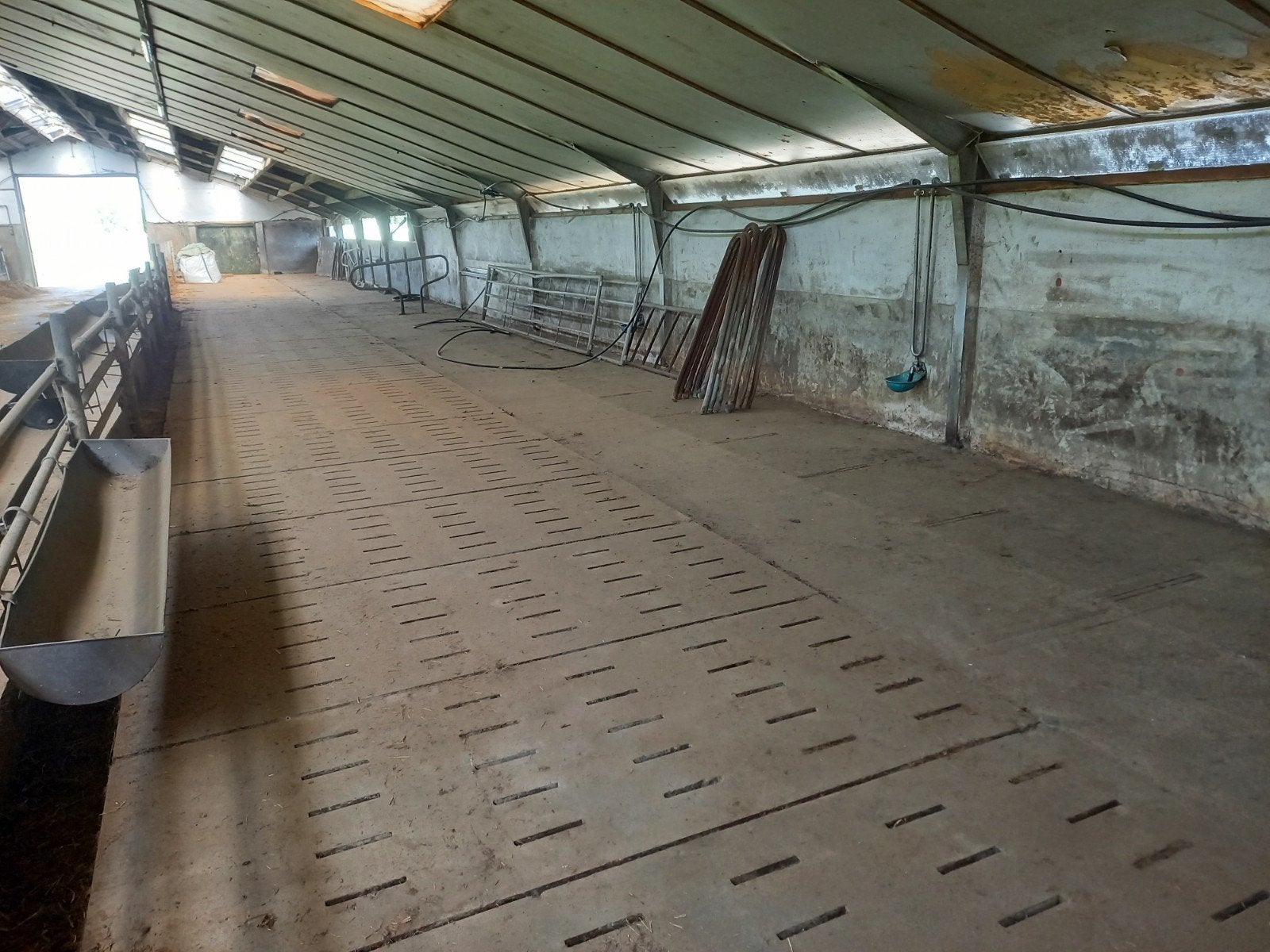 Stalruimte te huur voor jongvee of schapen, Dieren en Toebehoren