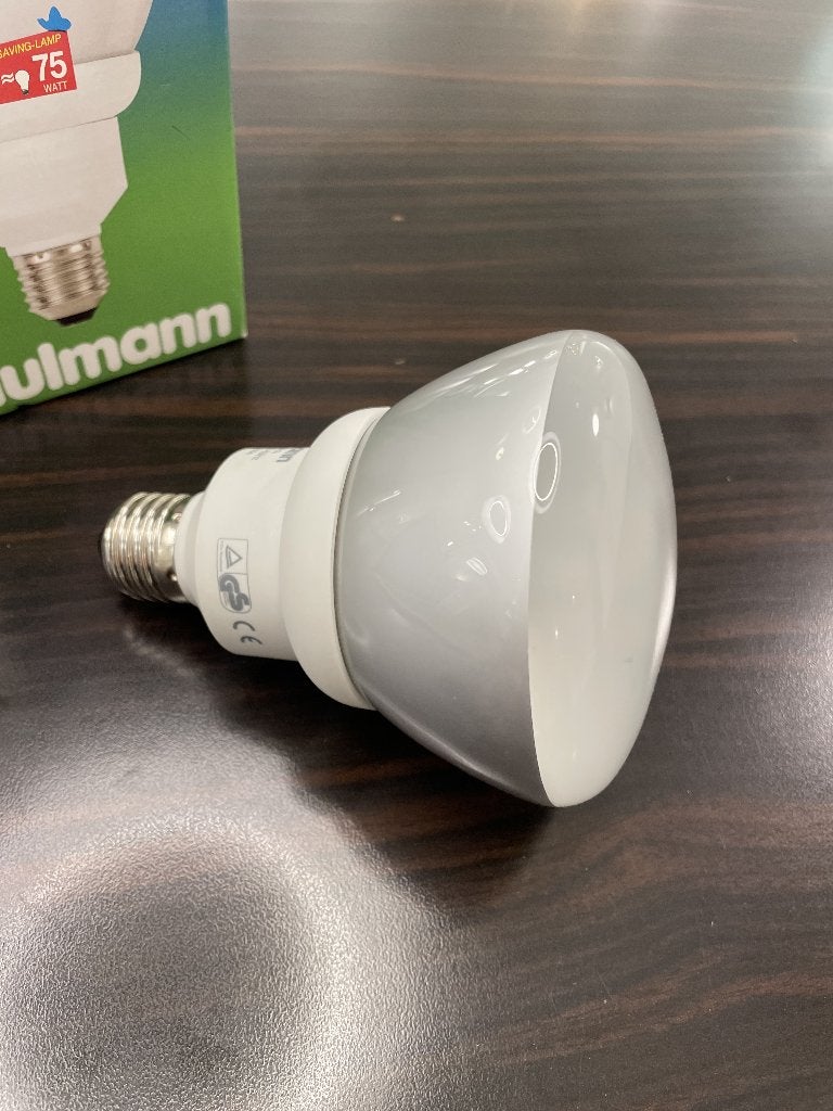 Paulmann R95 Spaarlamp 15W E27 | 2 stuks beschikbaar, 60 watt of meer, Nieuw, Spaarlamp, E27 (groot)
