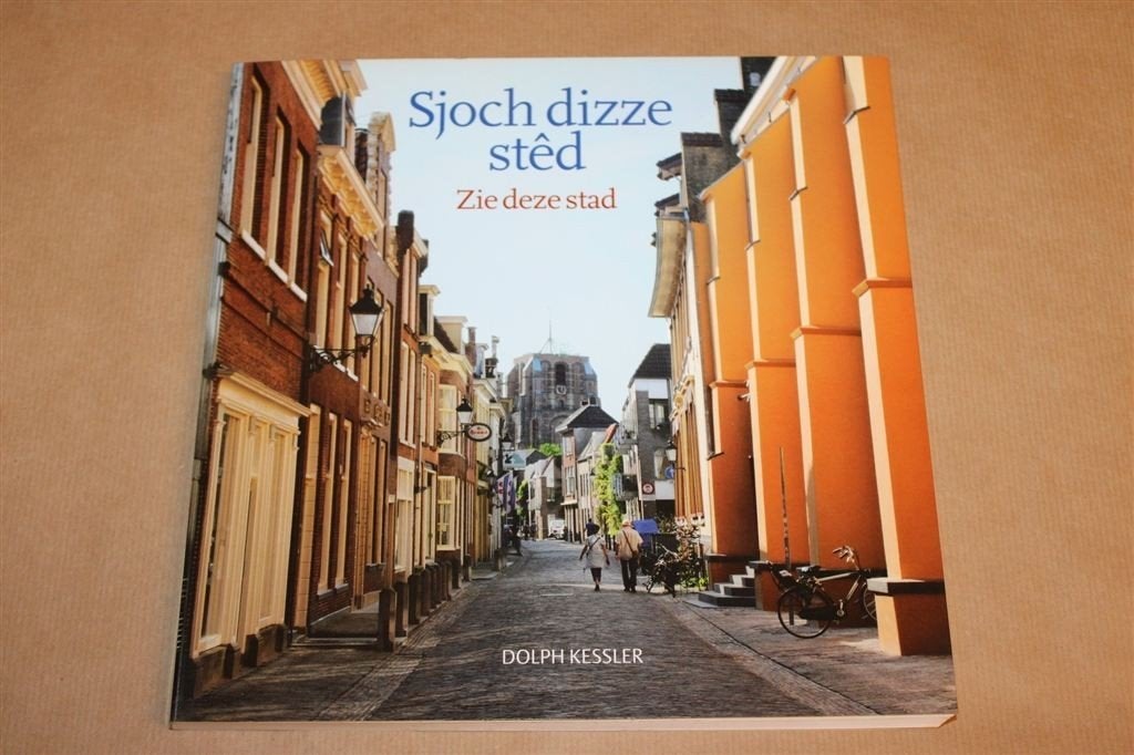 Sjoch Dizze Sted — Fotoboek Leeuwarder Binnenstad 2012, Ophalen of Verzenden, Gelezen