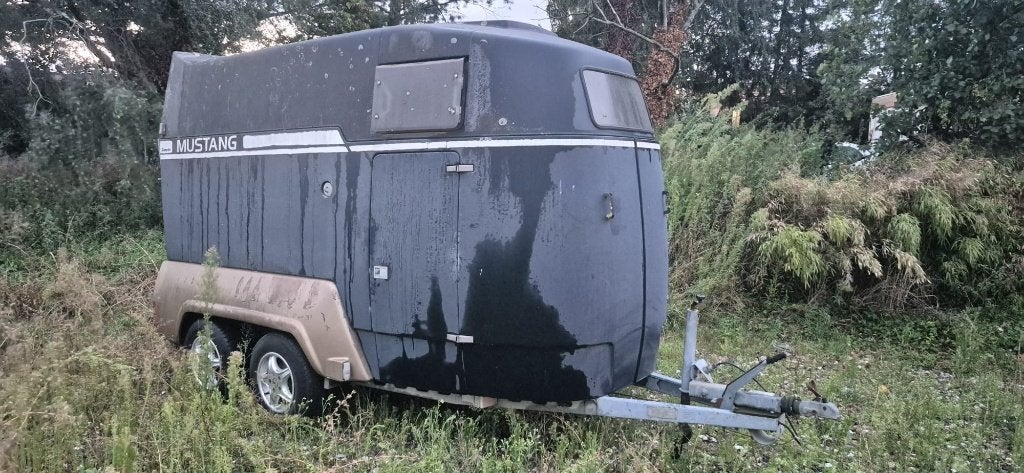 trailer mustang 2 paards, Dieren en Toebehoren, Ophalen, Gebruikt, Overige disciplines