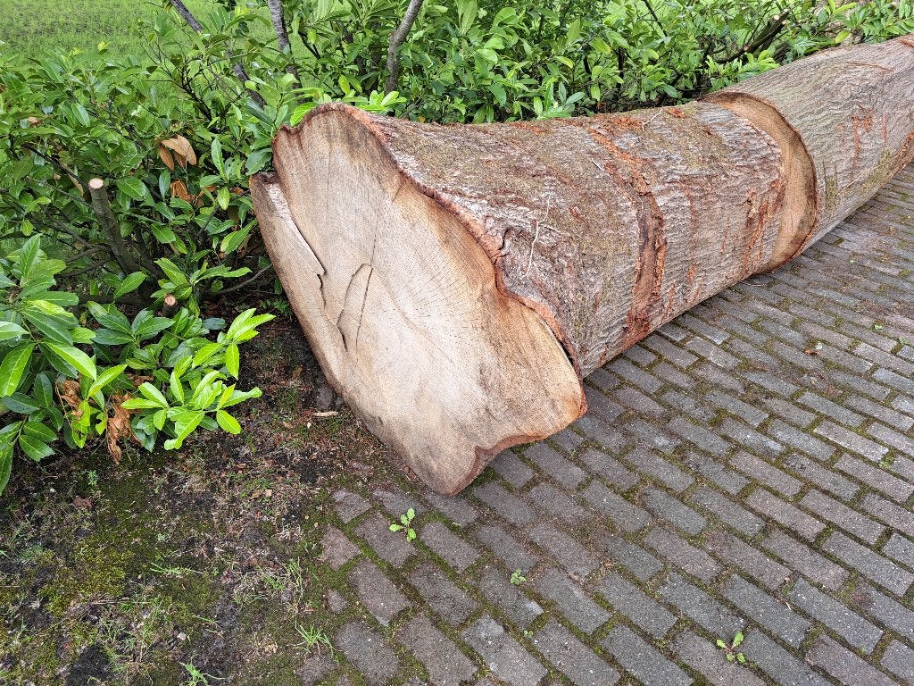 Haardhout, Ophalen, Eiken, Zo goed als nieuw, 50 mm of meer