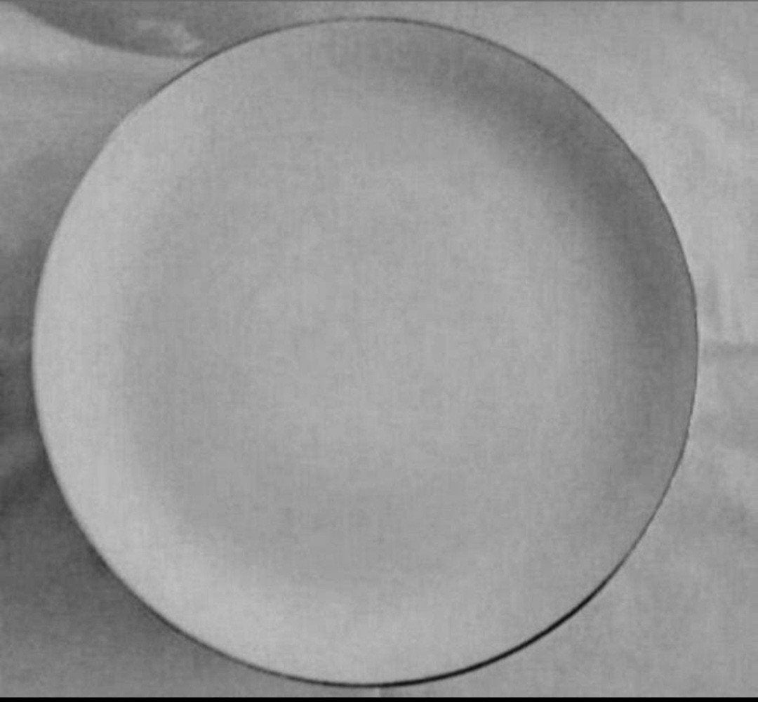 Vintage Wunsiedel R Spenzo Germany set dinerborden, Ophalen of Verzenden, Zo goed als nieuw, Bord(en), Overige stijlen