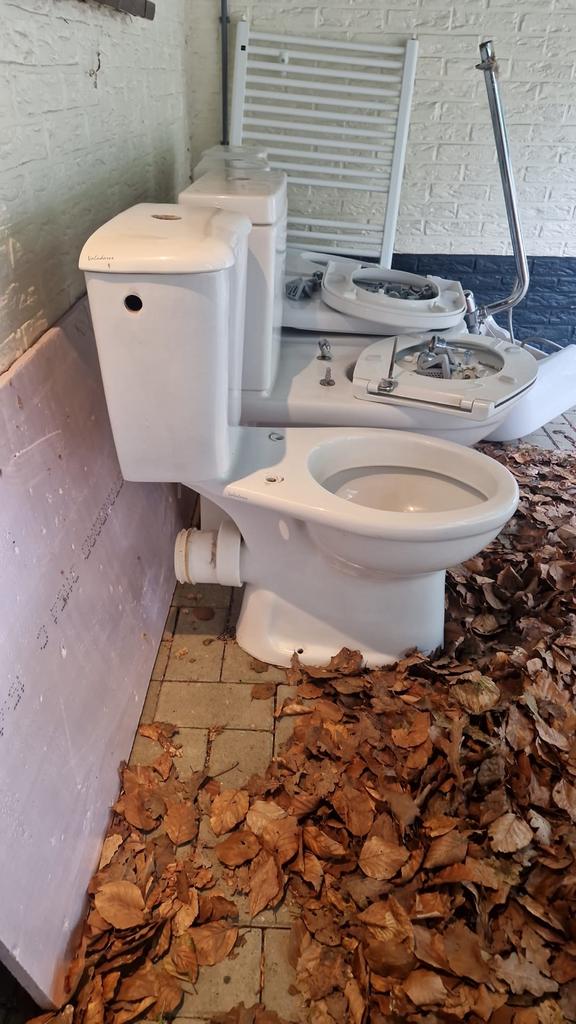 Wc, Doe-het-zelf en Verbouw, Sanitair, Zo goed als nieuw, Toilet, Ophalen of Verzenden