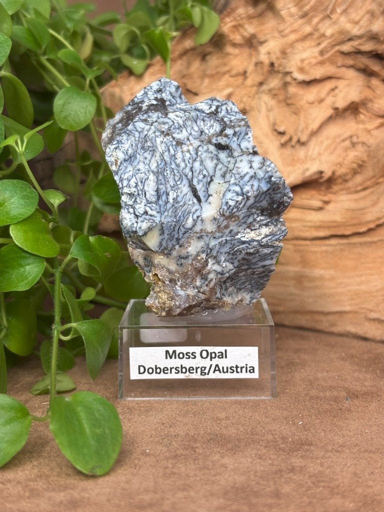 Moss opal uit Dobersberg, Ophalen of Verzenden, Mineraal