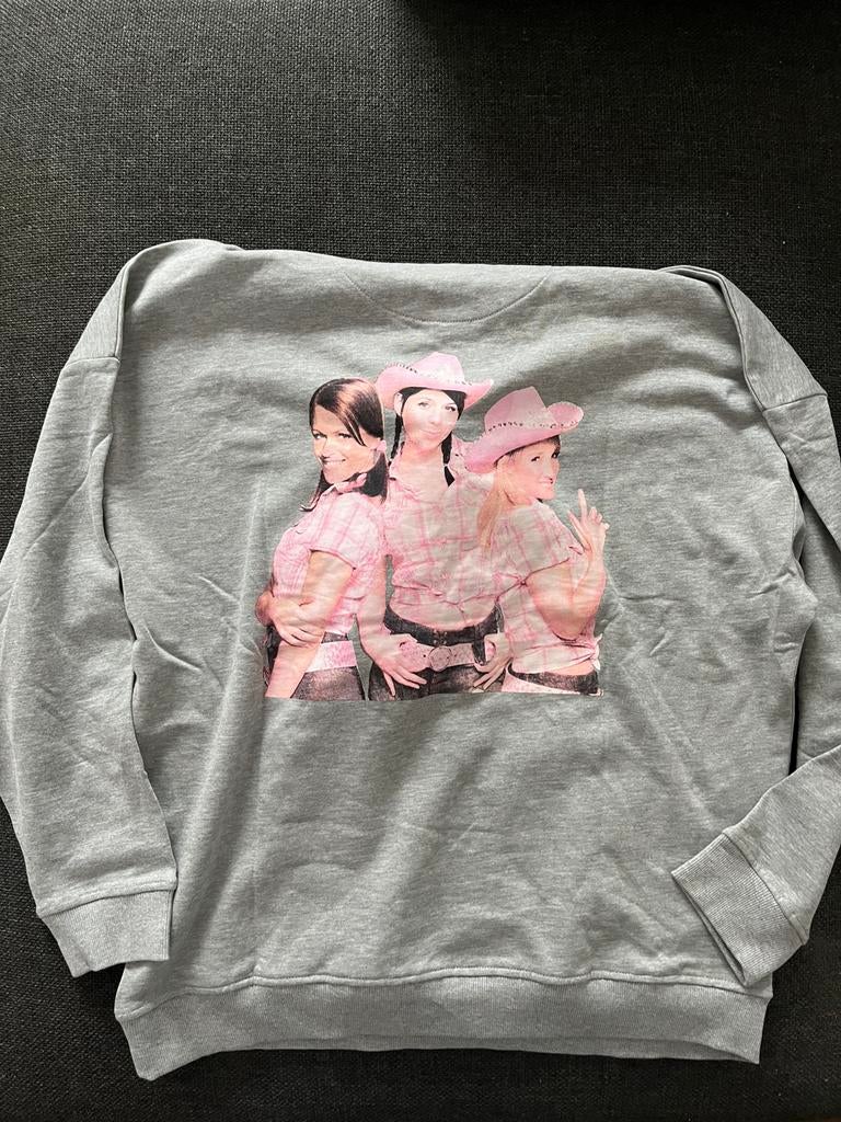 K3 hoodie xl, Ophalen, Nieuw, Maat 46/48 (XL) of groter, Grijs
