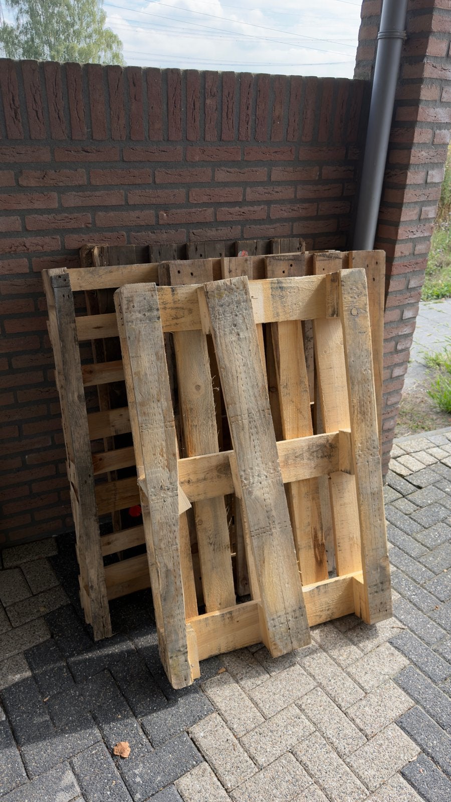 GRATIS Gebruikte houten pallets, Ophalen of Verzenden, Gebruikt, Hout, 20 tot 50 mm