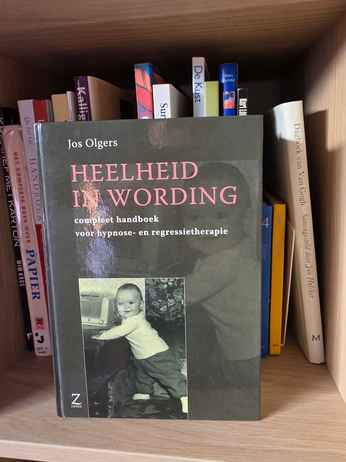 Heelheid in Wording - Jos Olgers (ingekeken), Boeken, Ophalen of Verzenden, Zo goed als nieuw