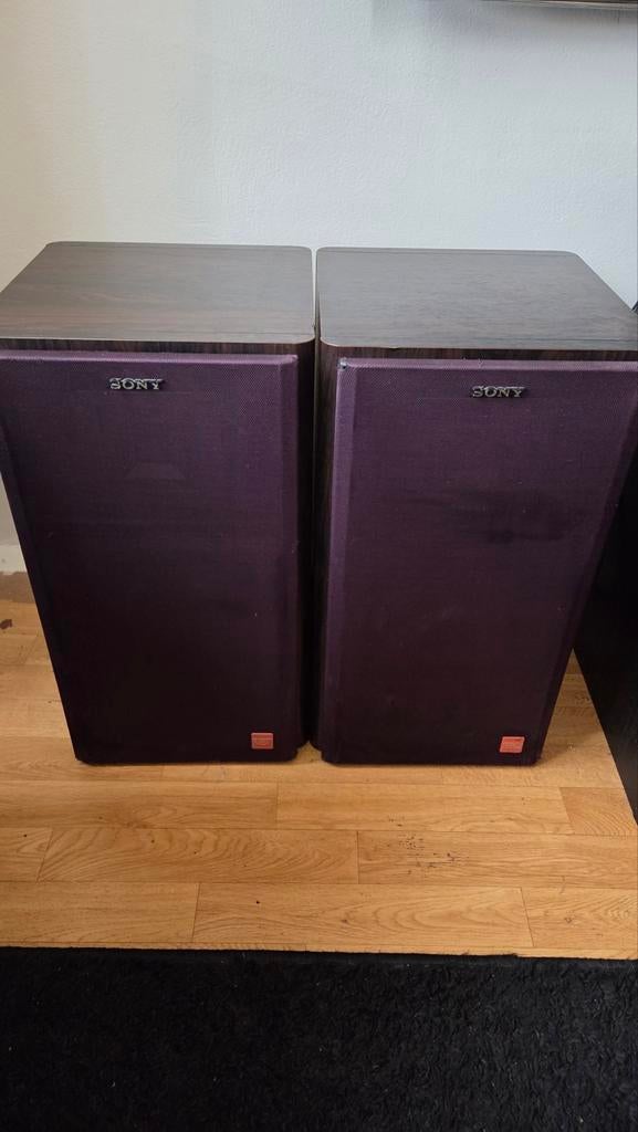 Set speakers Sony APM 22ES, Audio, Tv en Foto, Luidsprekers, Gebruikt, Ophalen of Verzenden, Sony, Minder dan 60 watt