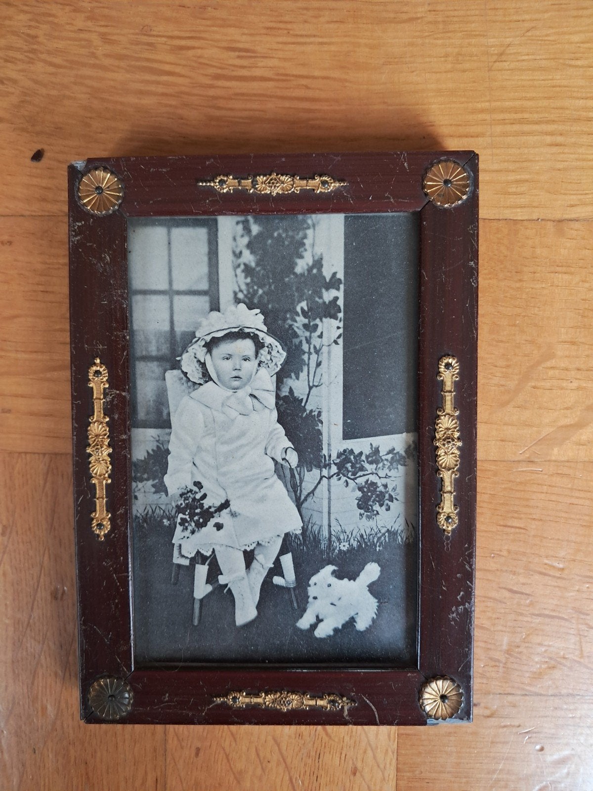 Antiek fotolijstje met foto Prinses Juliana (11x16 cm), Gebruikt, Ophalen of Verzenden, Fotolijst, Met ophangsysteem