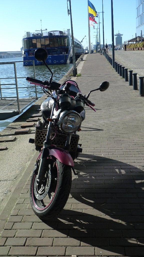 Foto 9 van Karaktervolle Honda Hornet CB600F (2004) – Klusproject