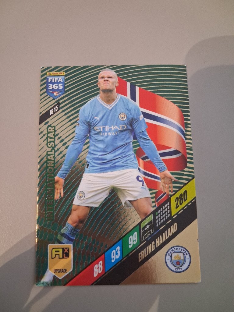 PANINI Voetbalkaart Erling Haaland, Ophalen of Verzenden, Zo goed als nieuw, Buitenlandse clubs, Spelerskaart