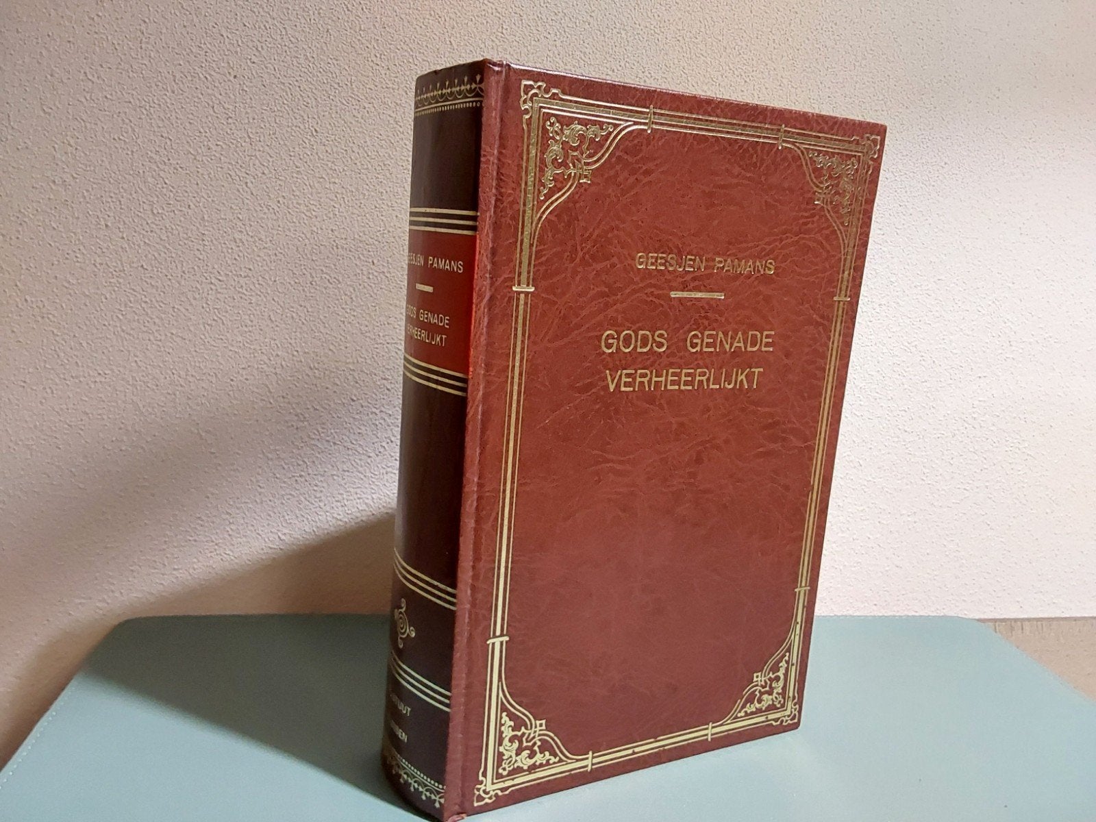 Geesje Pamans / Gods genade verheerlijkt, Gelezen, Christendom | Protestants, Ophalen of Verzenden, Geesje Pamans