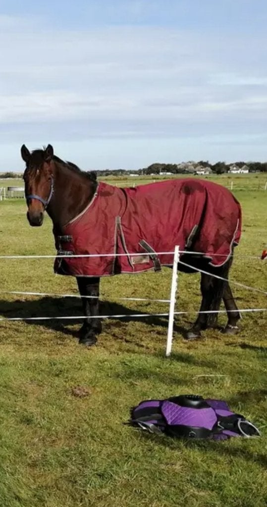 Rode regendeken 195 waldhausen fleece voering, Rood, Overige materialen, Ophalen of Verzenden, Zo goed als nieuw