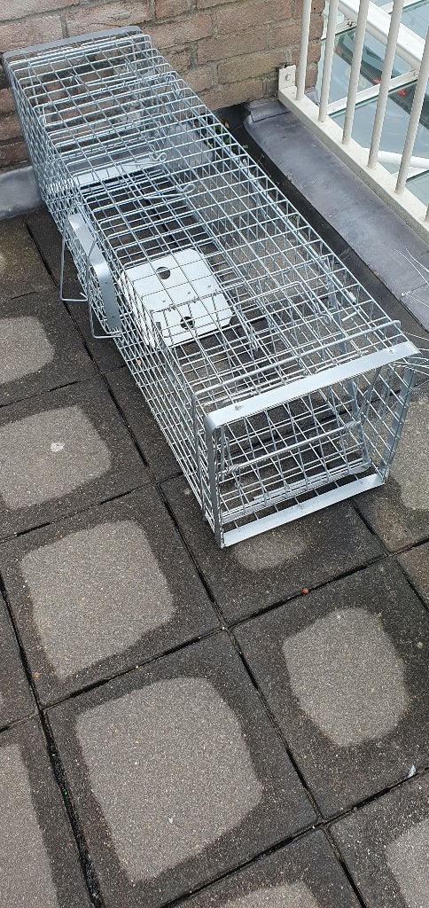 Vangkooi, Ophalen, Nieuw