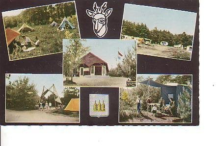 Ansichtkaart 	Oisterwijk	De Reebok Camping	5-luik, Verzenden, 1960 tot 1980, Ongelopen, Noord-Brabant