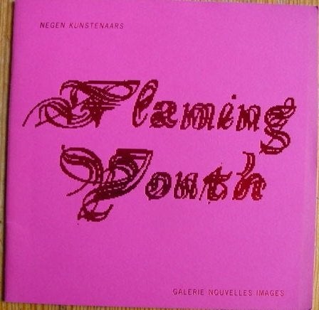 FLAMING YOUTH, 9 kunstenaars, 2000 Nouvelles Images, Ophalen of Verzenden, Zo goed als nieuw, Schilder- en Tekenkunst