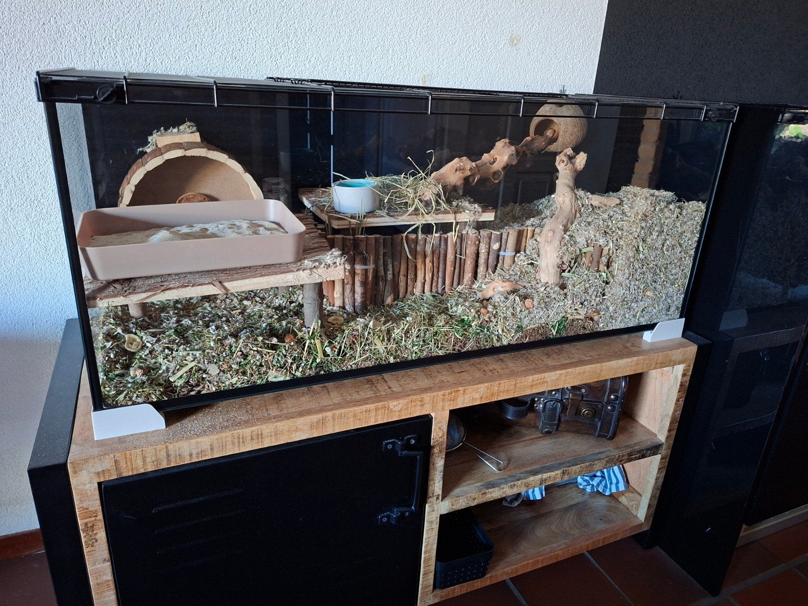 2 mannelijke gerbils van half jaartje oud, Februari, Mannelijk, Overige typen