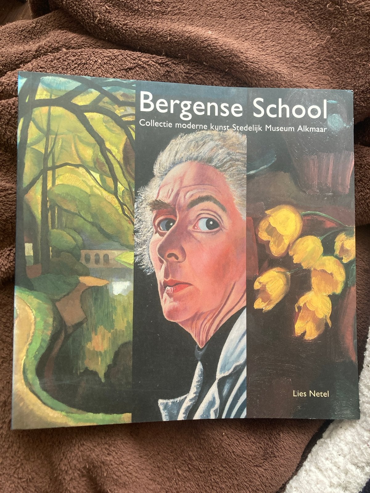 Bergense School - Collectie Stedelijk Alkmaar / Lies Netel, Ophalen of Verzenden, Zo goed als nieuw, Schilder- en Tekenkunst