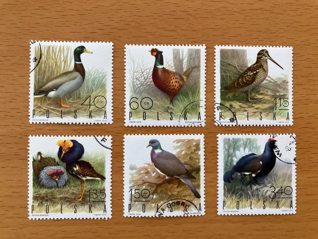 6 Postzegels Vogels van Polen uit 1970, Ophalen of Verzenden, Polen, Gestempeld