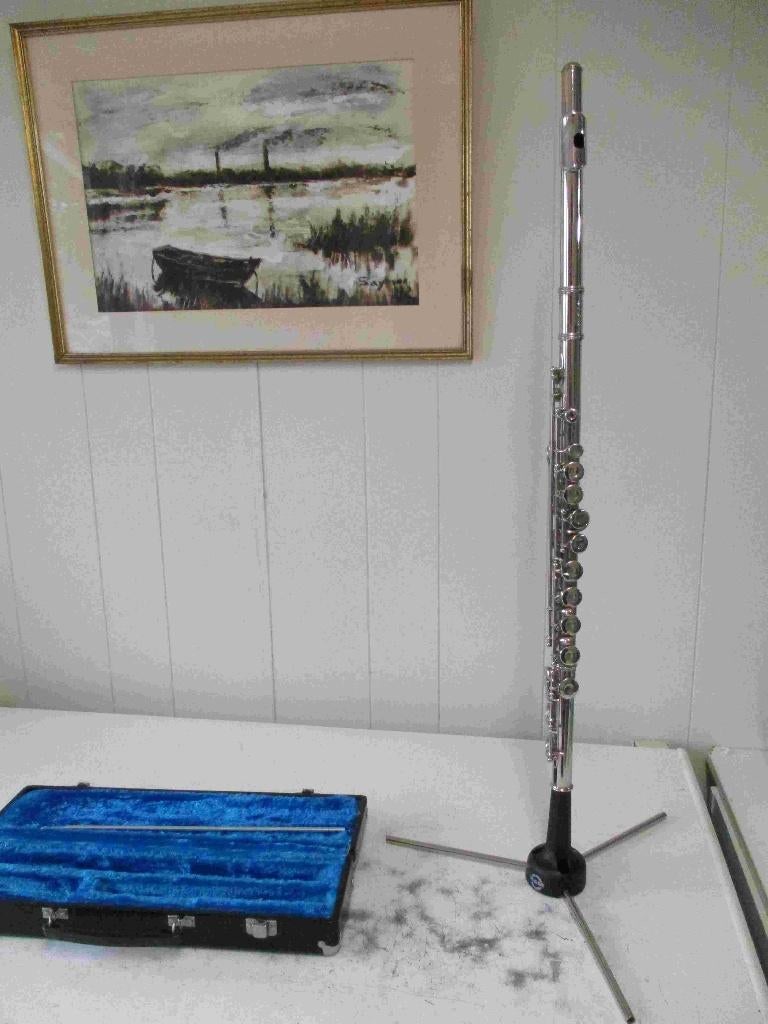 Dwarsfluit Tafenglong, Muziek en Instrumenten, Ophalen of Verzenden, Gebruikt, Dwarsfluit