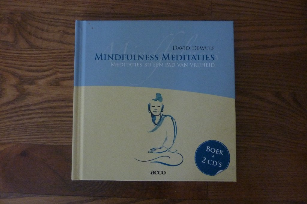 Mindfulness meditaties - David Dewulf, Ophalen of Verzenden, Zo goed als nieuw, Meditatie of Yoga, Instructieboek