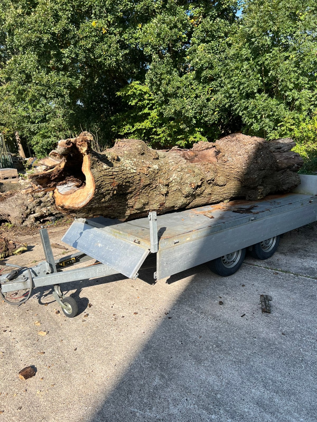 Holle boomstam, Ophalen, Overige typen