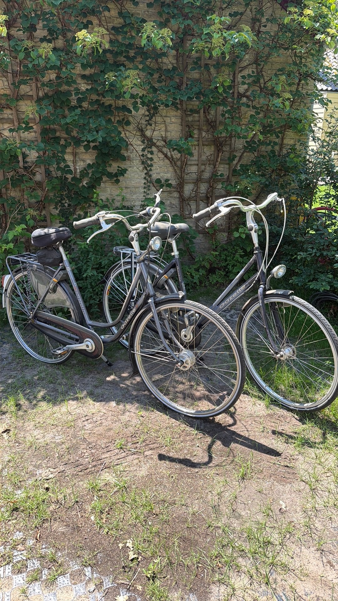 Gazelle dames fietsen Impala en Davos, Fietsen en Brommers, Fietsen | Dames | Damesfietsen, Ophalen, Gebruikt, Gazelle
