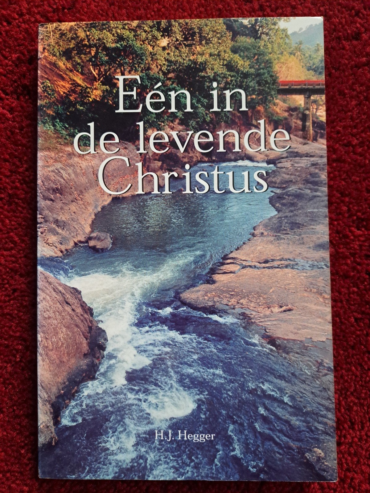 Eén in de levende Christus - H.J. Hegger, Ophalen of Verzenden, Gelezen, H.J. Hegger, Christendom | Katholiek