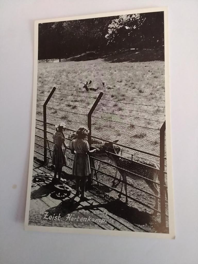 ZEIST. HERTENKAMP, Ophalen of Verzenden, Voor 1920, Utrecht