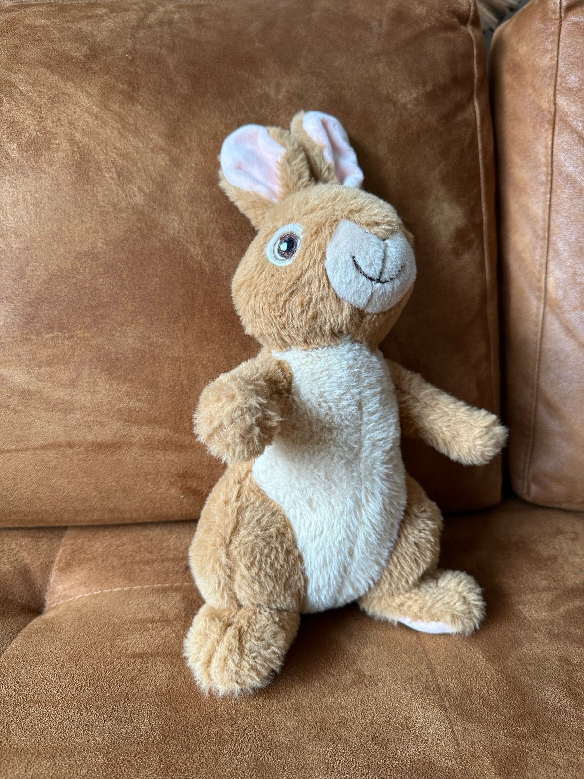Grote zachte Peter Rabbit konijn knuffel, Overige merken, Overige karakters, Konijn, Ophalen of Verzenden