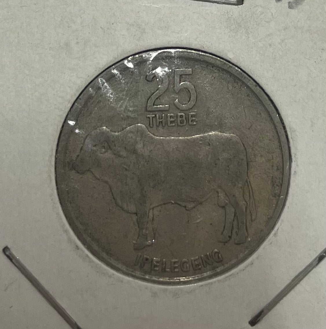 25 thebe Botswana 1989, Postzegels en Munten, Munten | Afrika, Ophalen of Verzenden, Overige landen