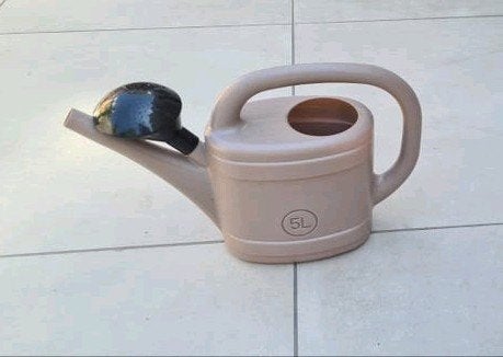 Gieter 5L, Tuin en Terras, Gieters, Ophalen of Verzenden, Gebruikt, Kunststof