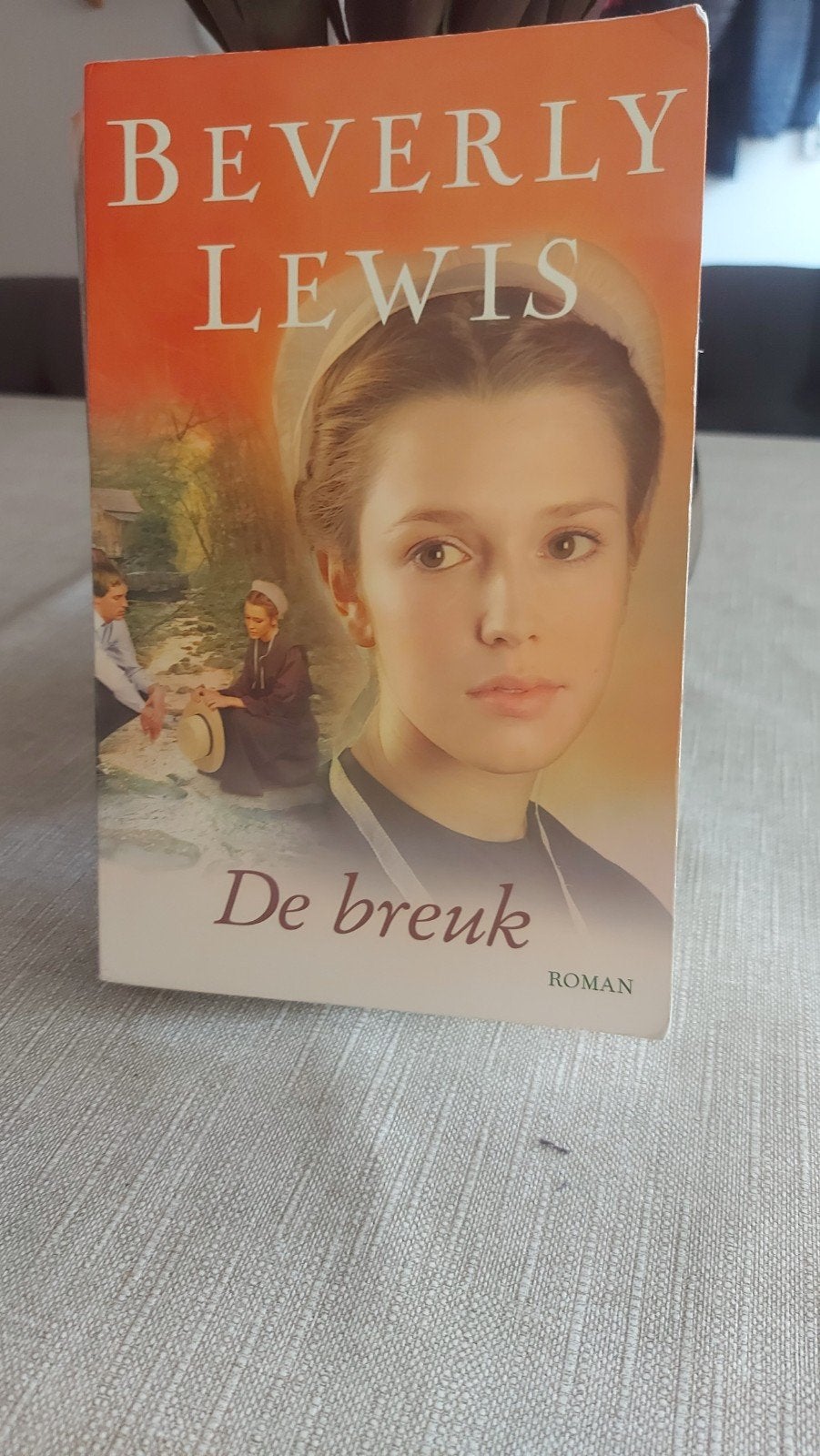 De Breuk - Beverly Lewis (Roman), Ophalen of Verzenden, Gelezen, Beverly Lewis, Amerika