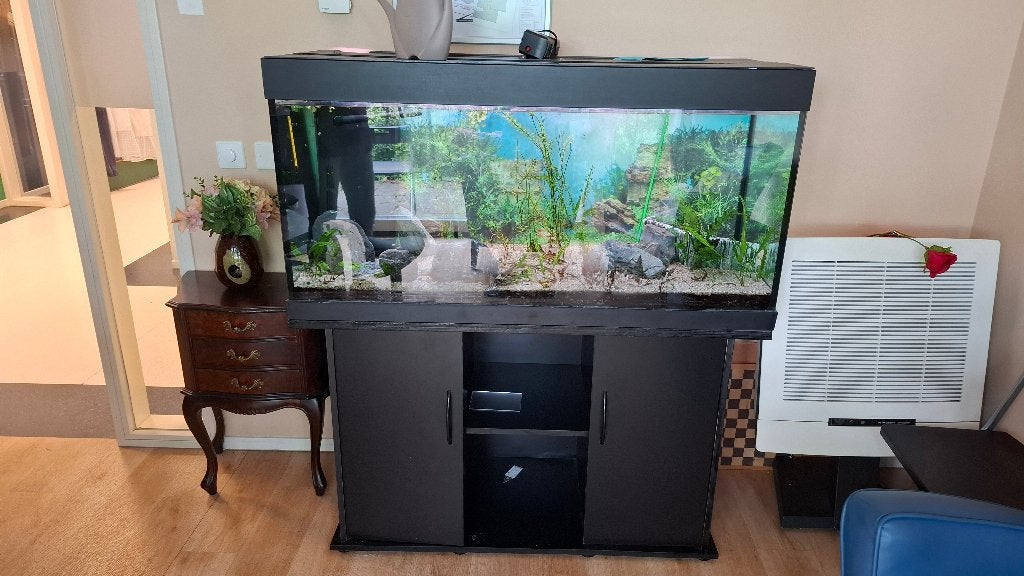 Aquarium, Dieren en Toebehoren, Ophalen, Gebruikt
