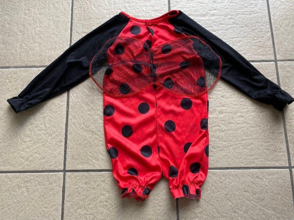 Z g a nieuw Verkleedkleding lieveheersbeestje 3-4 jaar, Ophalen of Verzenden, Zo goed als nieuw, 104 of kleiner, Jongen of Meisje