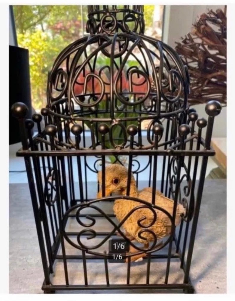 Schattig kuiken in metalen antieke vogelkooi 39 cm, Ophalen of Verzenden