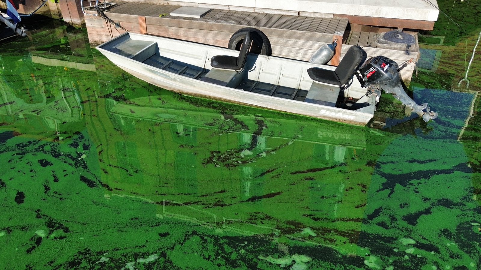 Platbodem met 15pk suzuki, Watersport en Boten, Motorboten en Motorjachten, Overige merken, Gebruikt, 15 pk, Buitenboordmotor