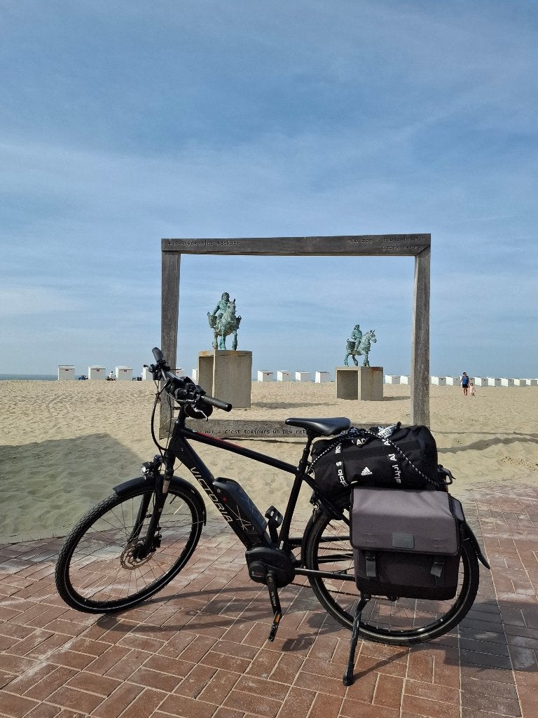 Fietsaccu, Ophalen of Verzenden, Gebruikt