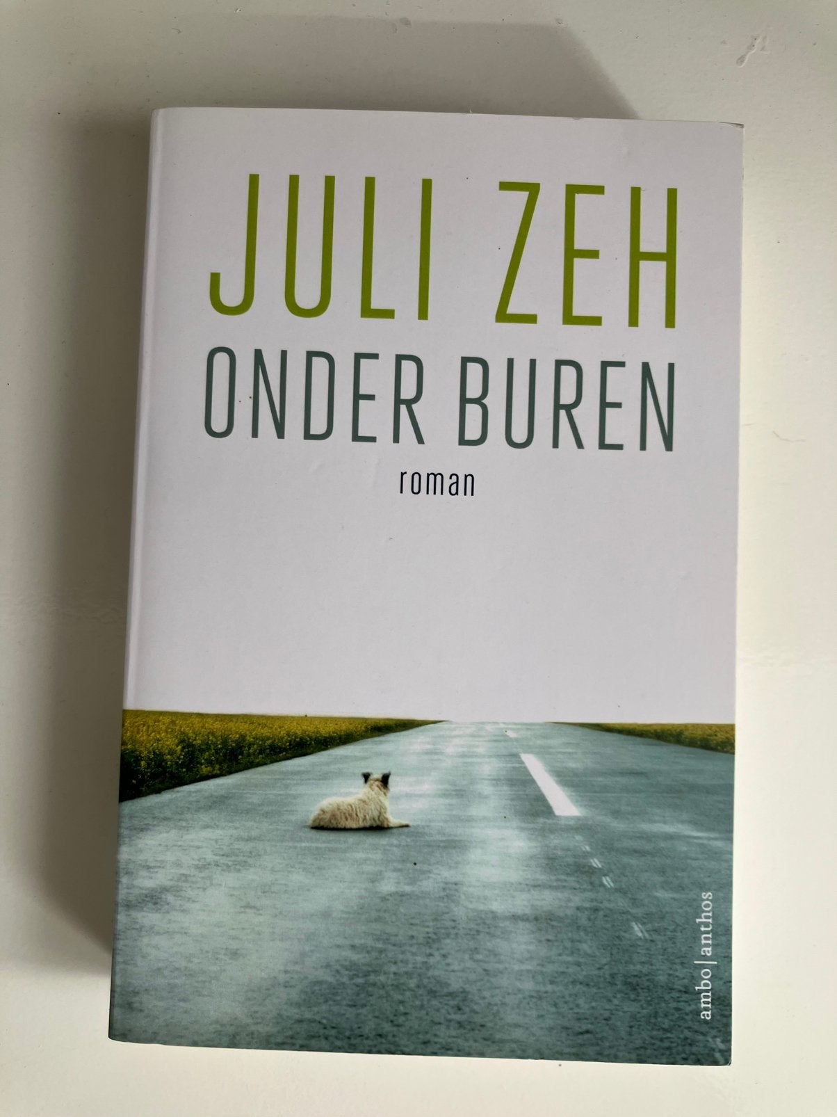 Onder buren, Ophalen of Verzenden, Nieuw