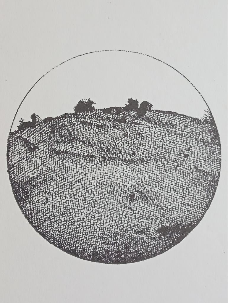 Lithografie 1981, Ophalen of Verzenden