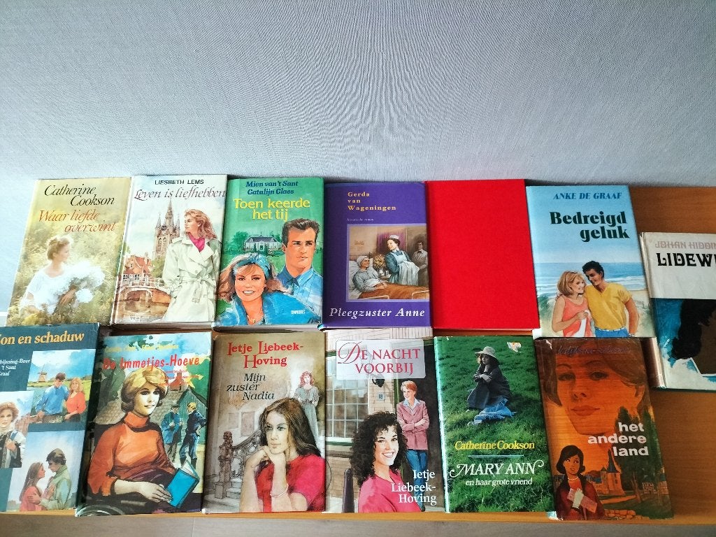 Diverse romans van bekende auteurs, Boeken, Ophalen of Verzenden, Gelezen, Diverse auteurs, Nederland