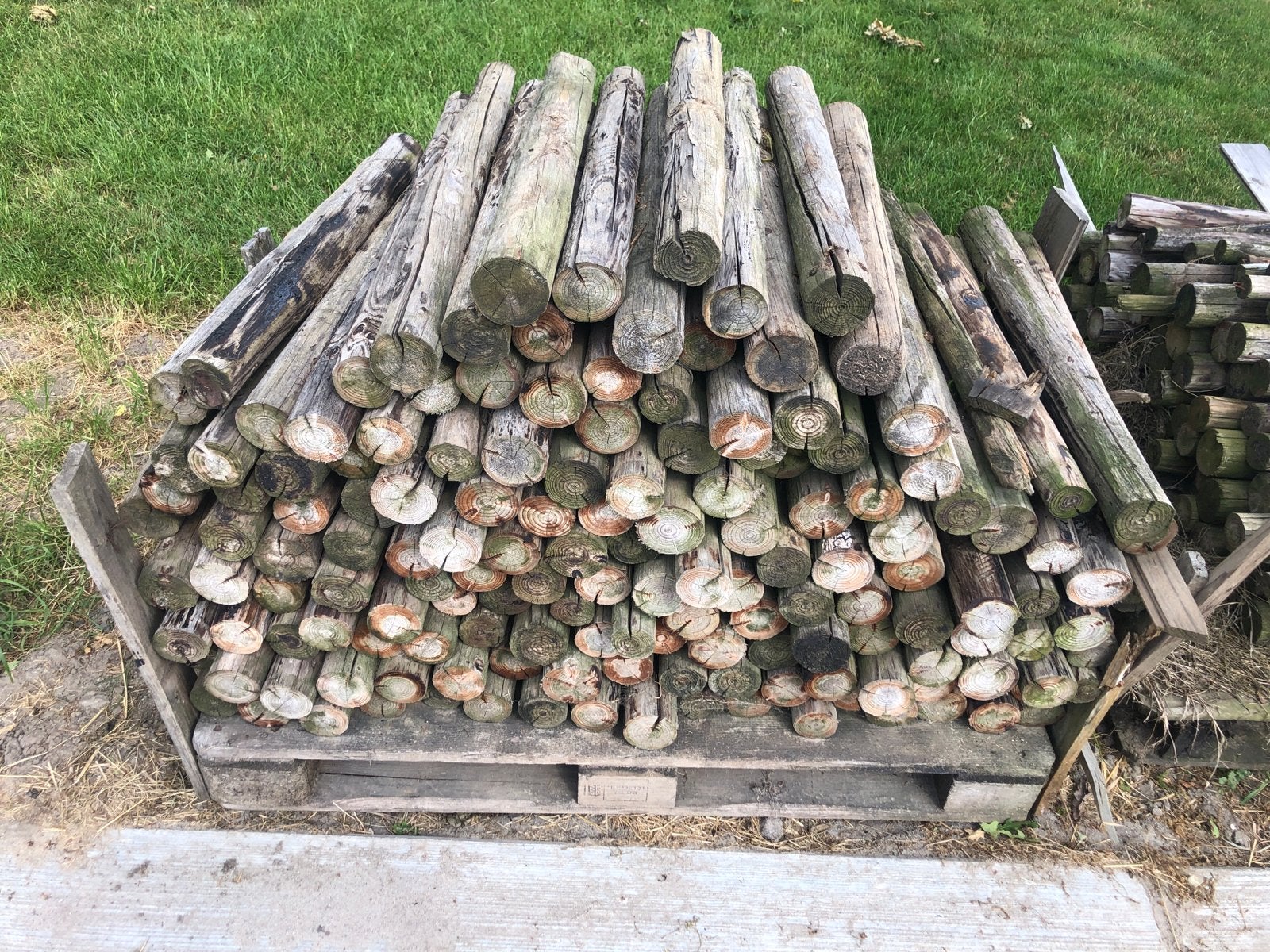 Houten palen +/- 70 cm, Doe-het-zelf en Verbouw, Hout en Planken, Gebruikt, Balk, Overige houtsoorten, Minder dan 200 cm, 50 mm of meer