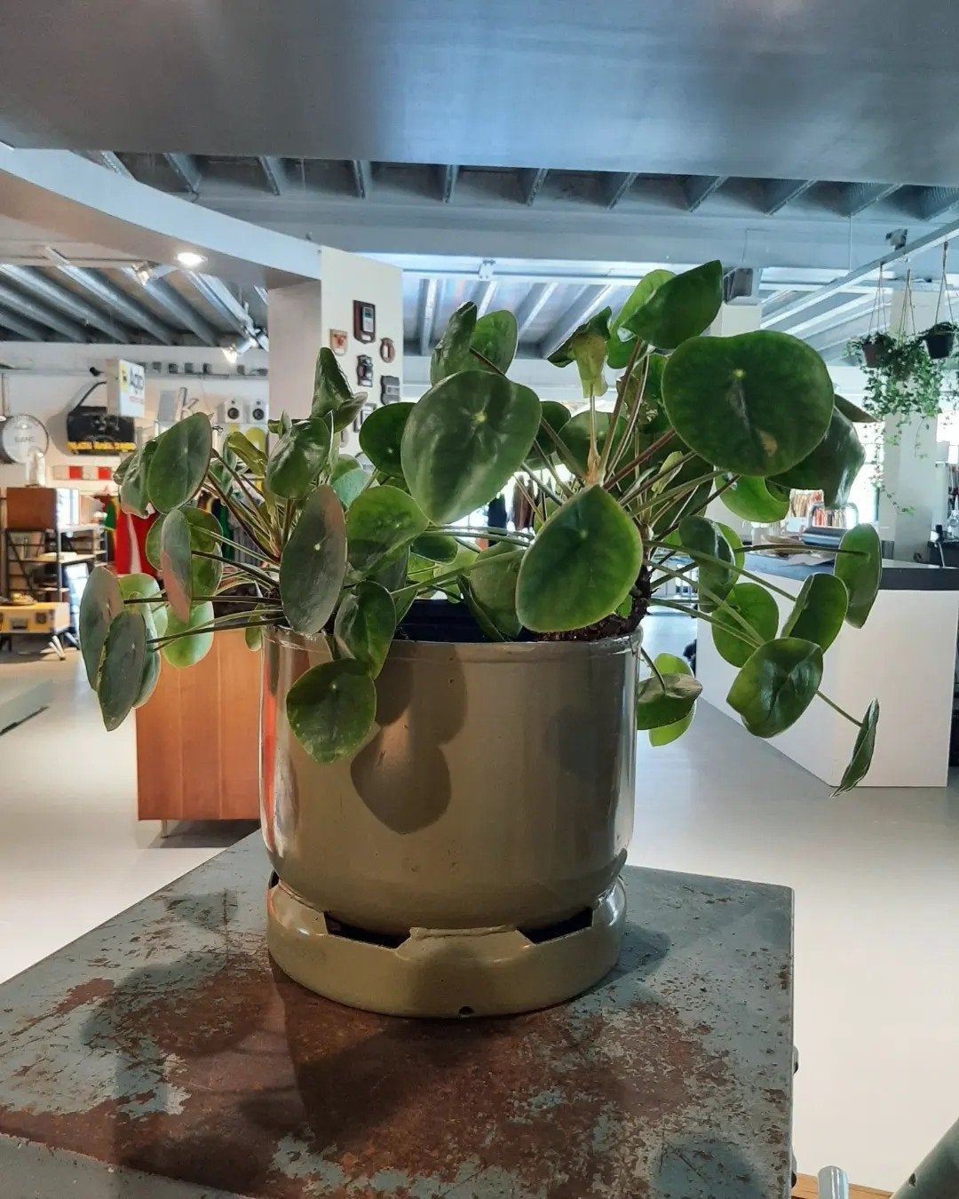 Bloempot planter staal upcycled, Gebruikt, Rond, Ophalen of Verzenden, Balkon