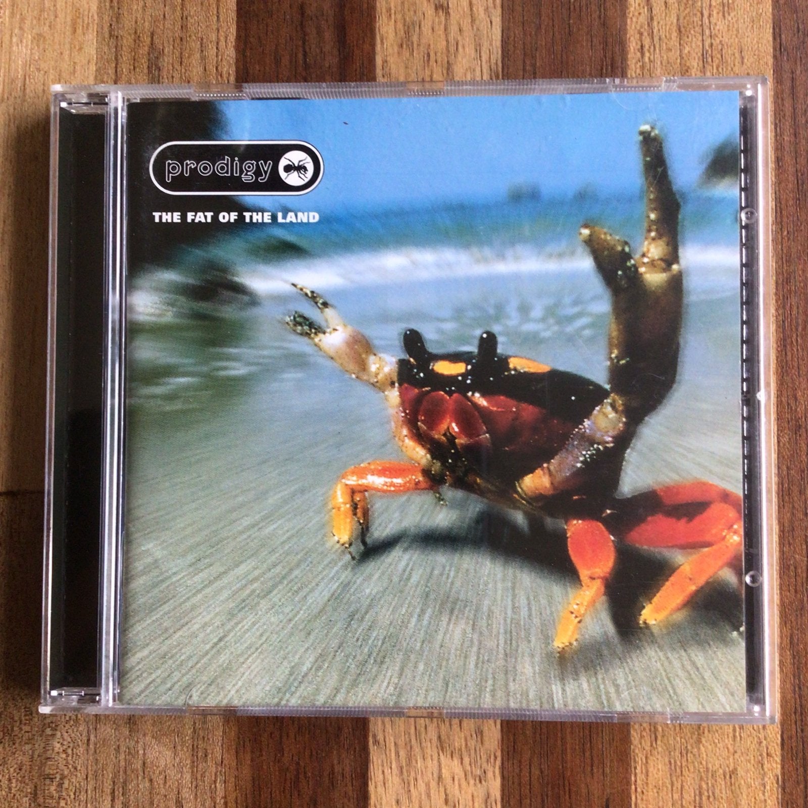 Prodigy - the fat of the land, Ophalen of Verzenden, Zo goed als nieuw