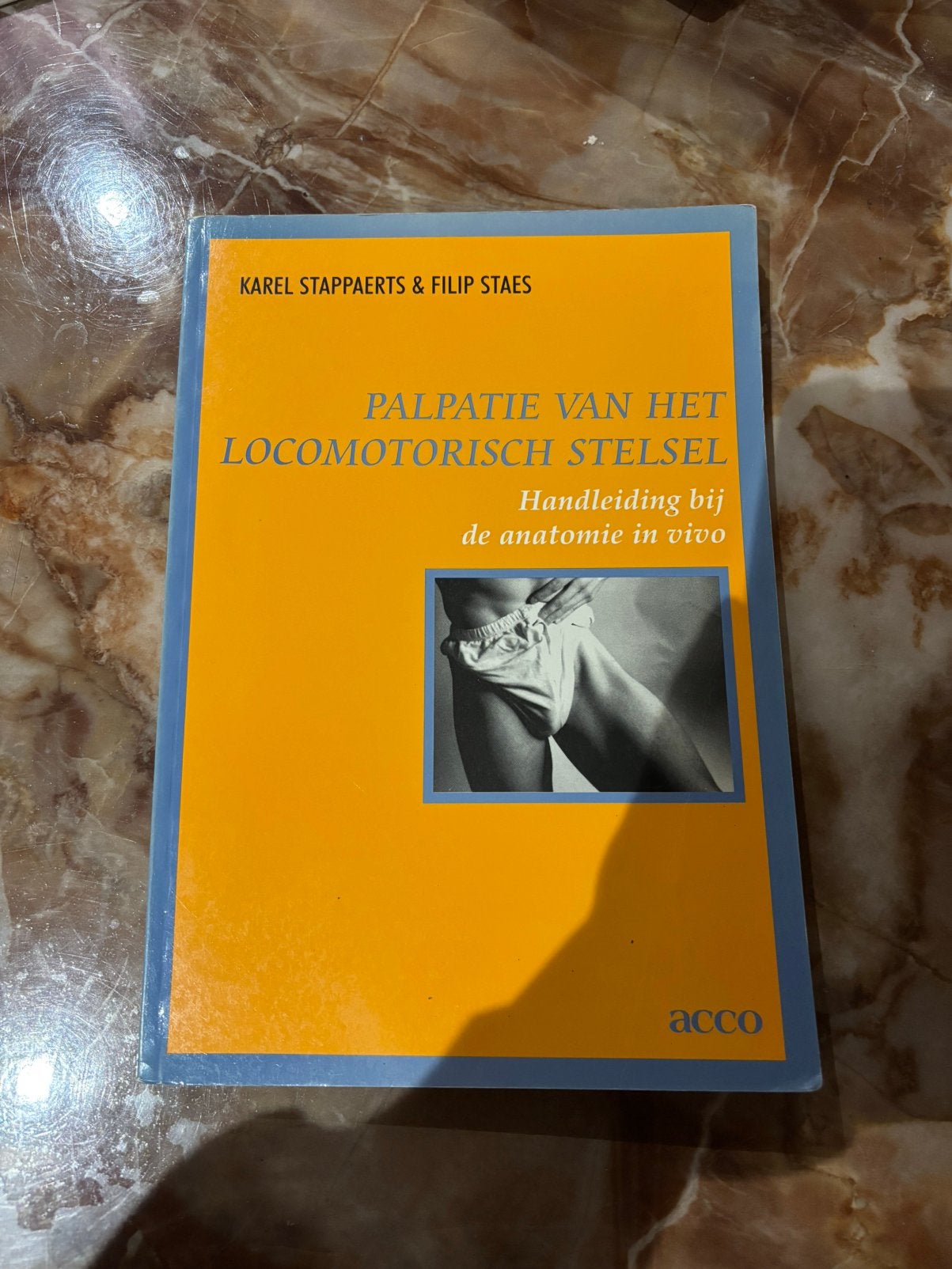 Palpatie van het motorische stelsel, Ophalen of Verzenden, Beta, Zo goed als nieuw, HBO